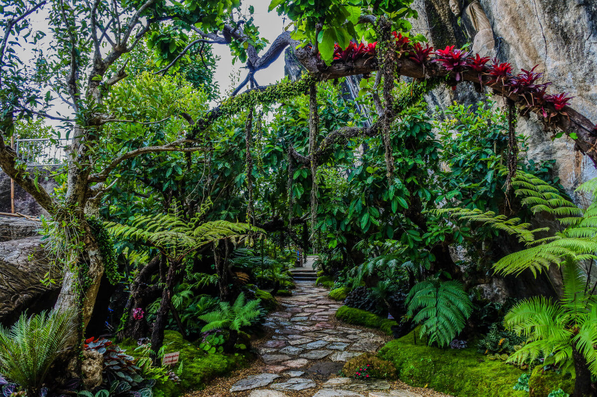 Landscape Design